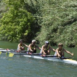 AVIRON Saison Adultes